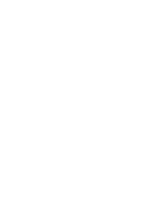 graphics guys white skull logo